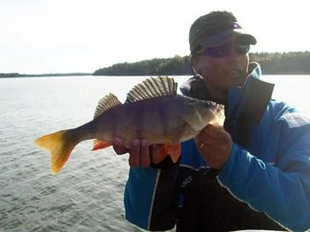Alandfishing