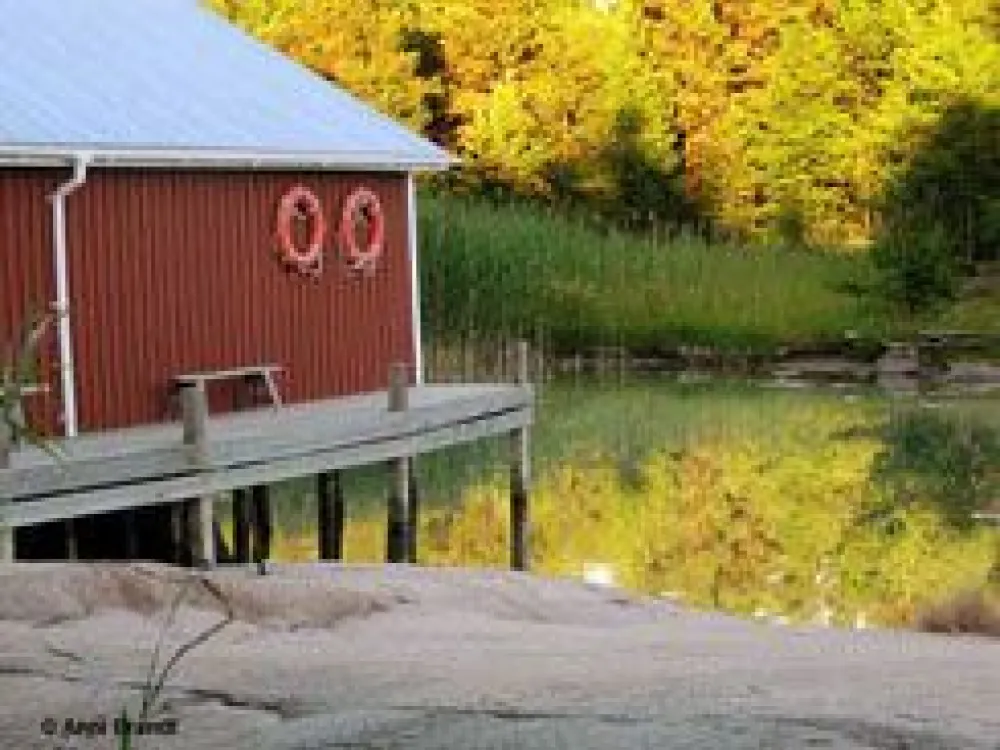 Anni Blomqvists museum