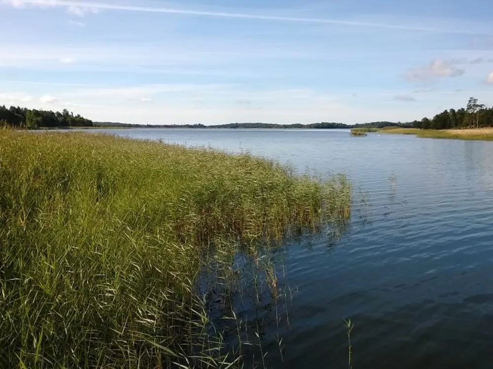 Daniels stugor, Orrfjärd