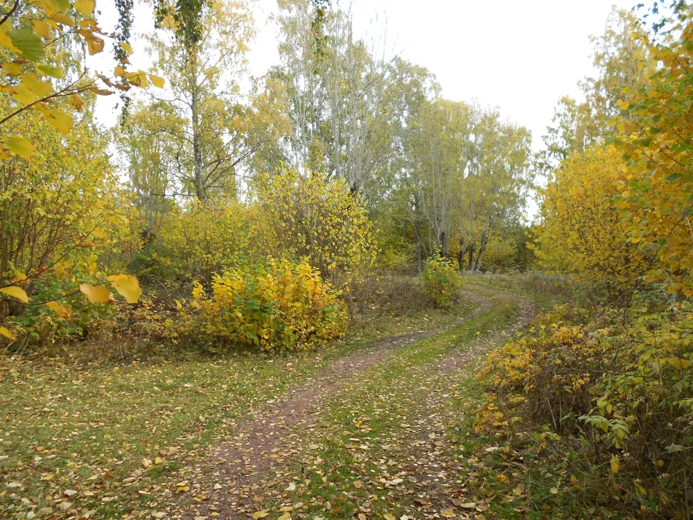 Harnäs Stugor: Röda Stugan