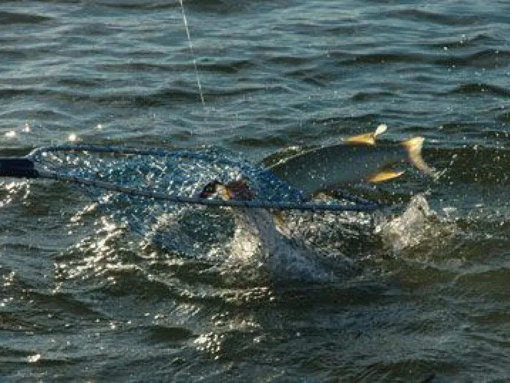 Rundbergs stugor, fiskeguide