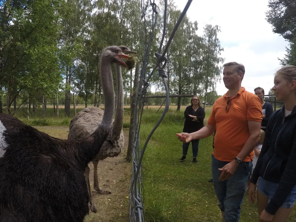 Käringsund Game Safari