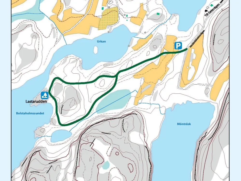 Höckböleholmen 1,8 km − the glory of snake’s heads