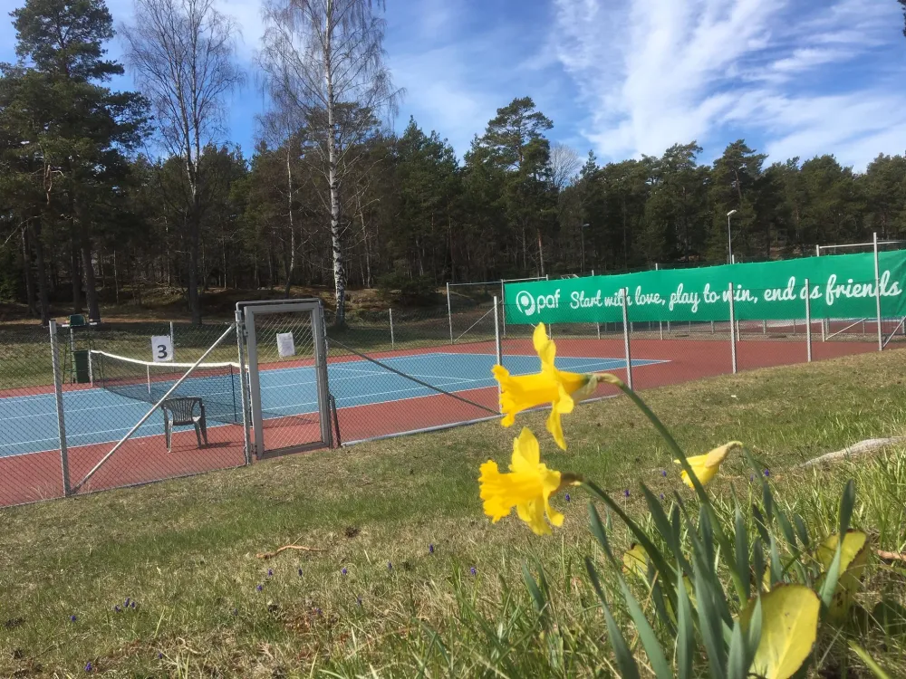 MLK tennis