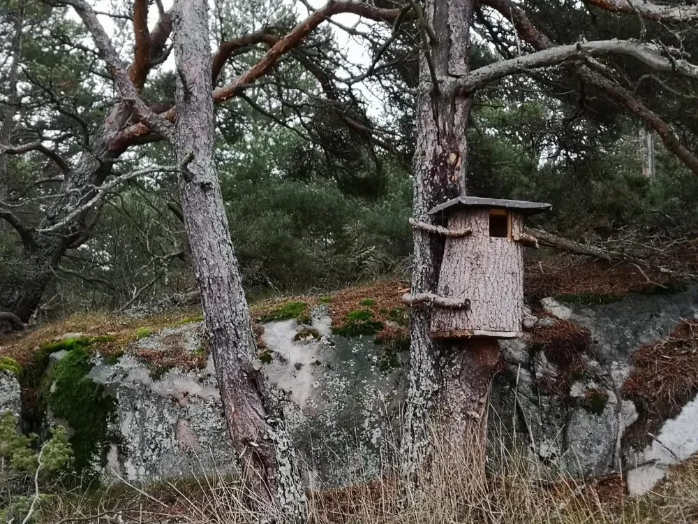 Kumlinge åttan 12,5 km – keskiaikainen kirkko ja saaristoluontoa