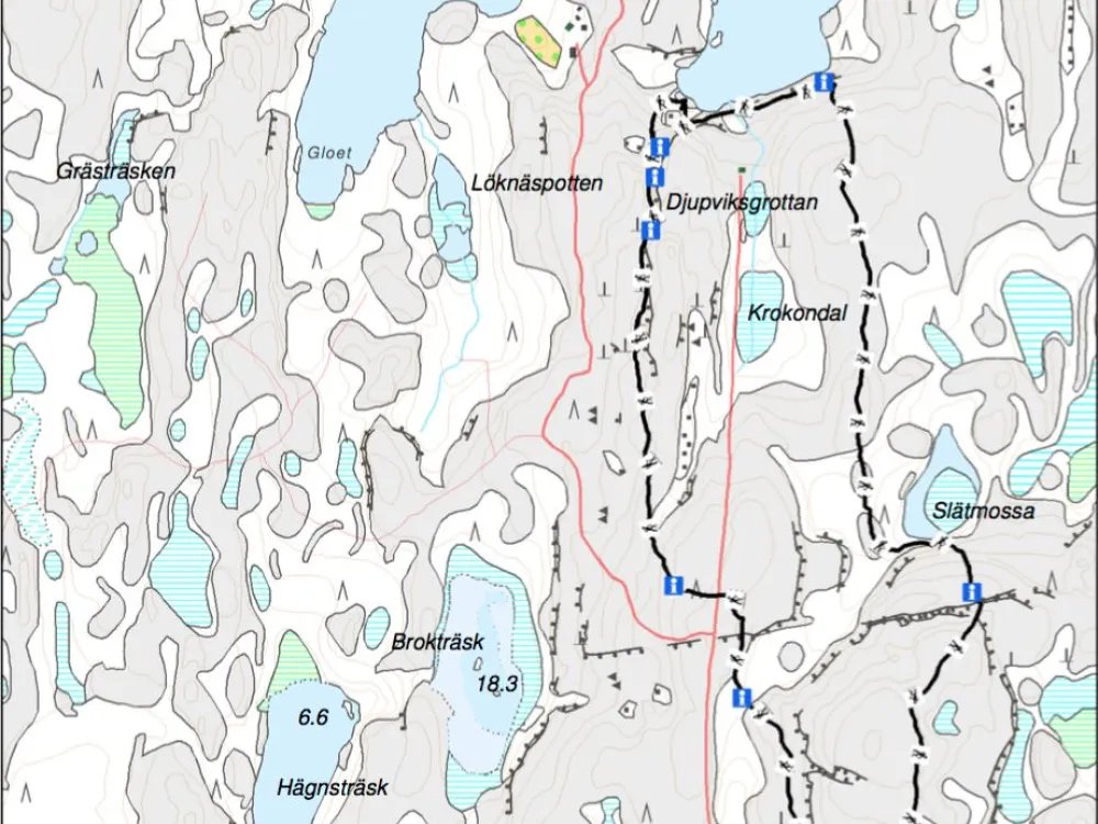 Grottstigen 4,7 km – rock formations and dwarf pines