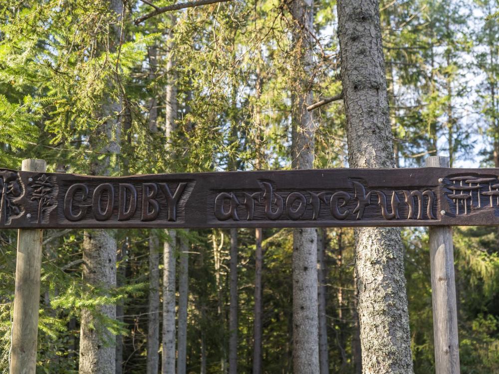 Godby Arboretum − vierasperäisiä lajeja Ahvenanmaan luonnossa