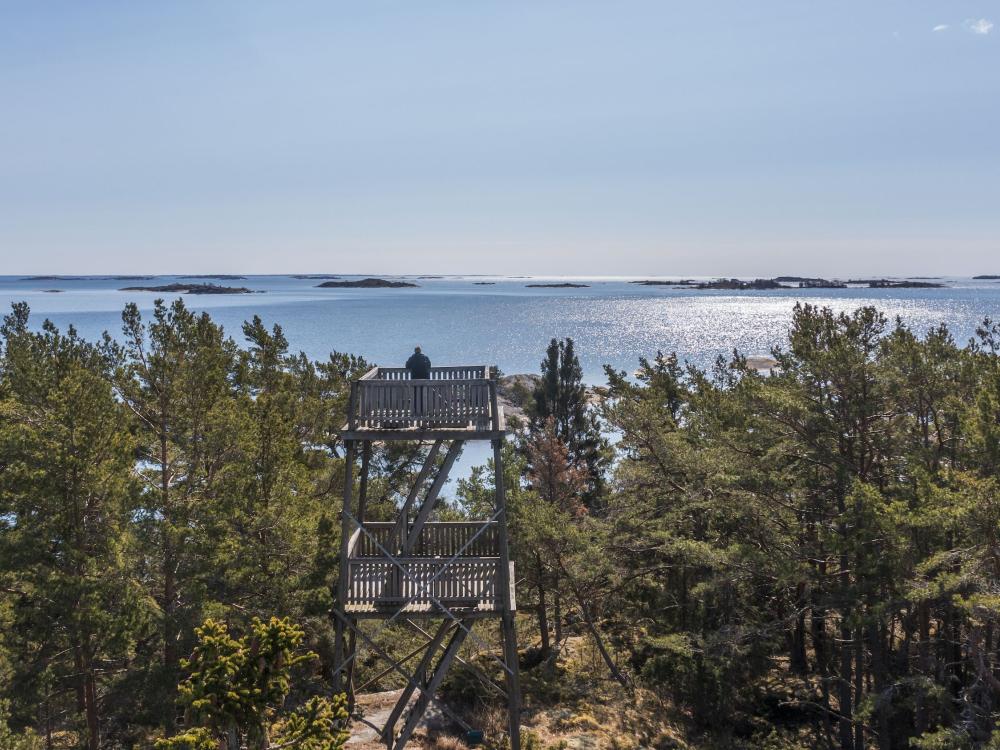 Hastersboda 4 km – seashores and magical coniferous forests