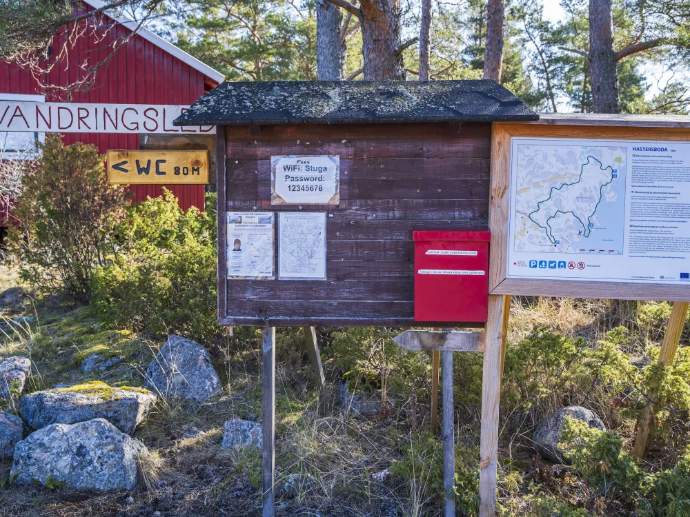 Hastersboda 4 km – seashores and magical coniferous forests