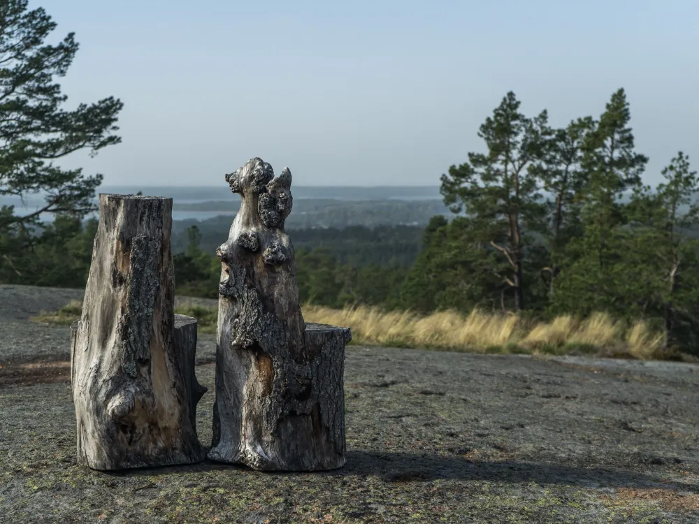 Grottstigen 4,7 km – rock formations and dwarf pines