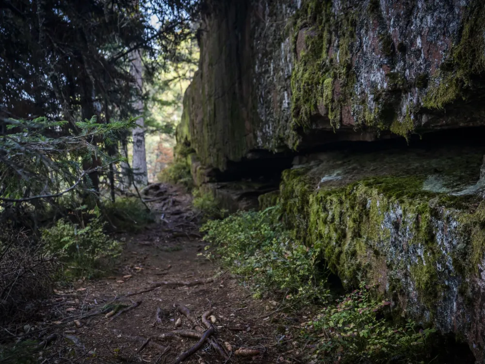 Grottstigen 4,7 km – rock formations and dwarf pines