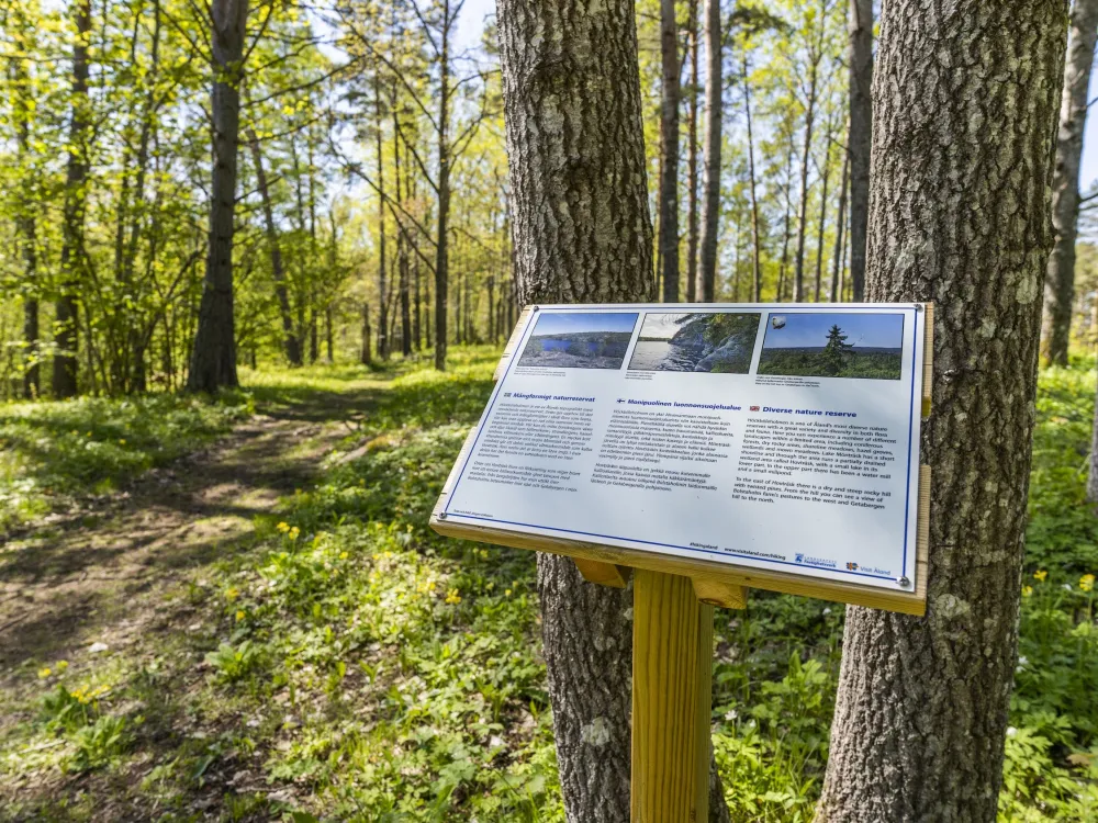 Höckböleholmen 1,8 km − the glory of snake’s heads