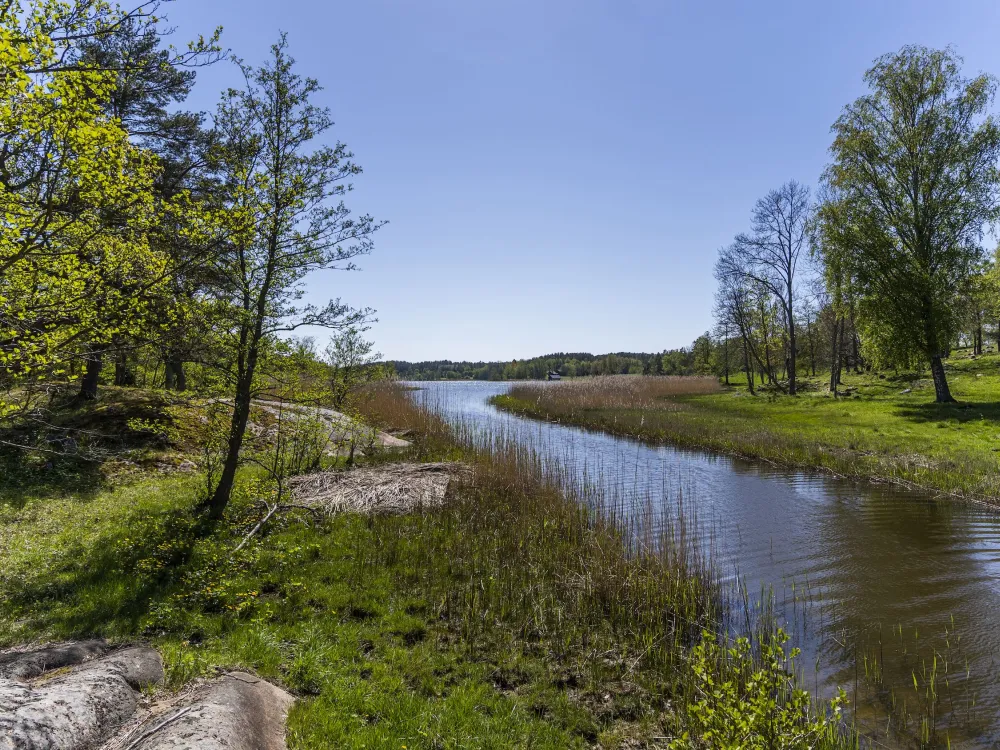 Höckböleholmen 1,8 km − the glory of snake’s heads