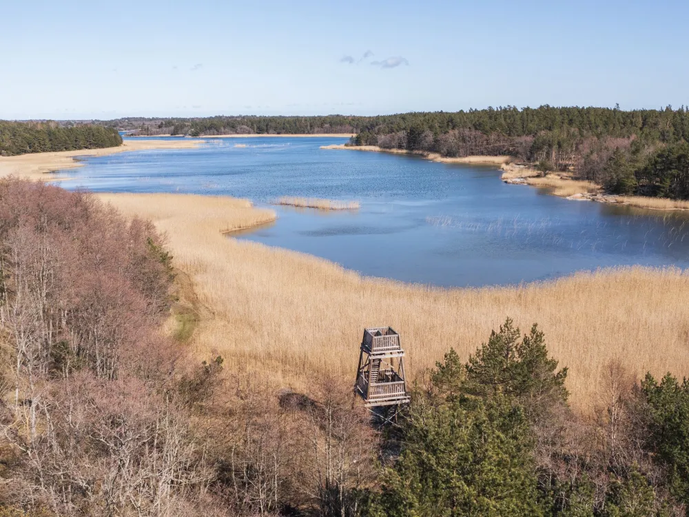 Jyddö 5 km – sea fowl and butterflies