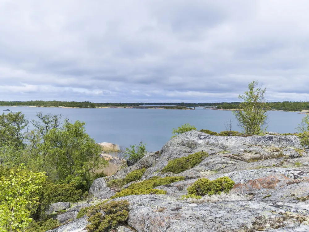 Jåsholm 3 km – lehtipuita ja lintuja