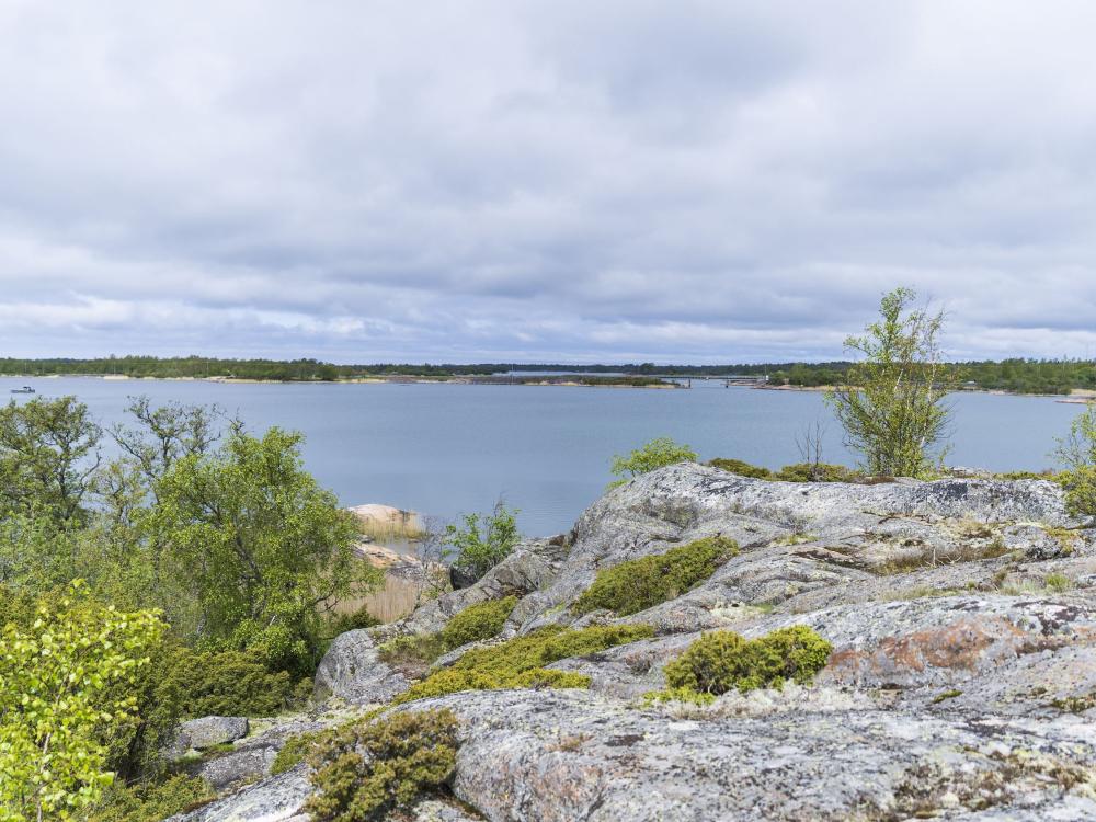 Jåsholm 3 km – lehtipuita ja lintuja
