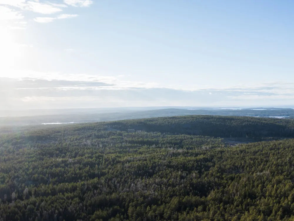 Långbergen 5,5 km − vildmark och stenålder