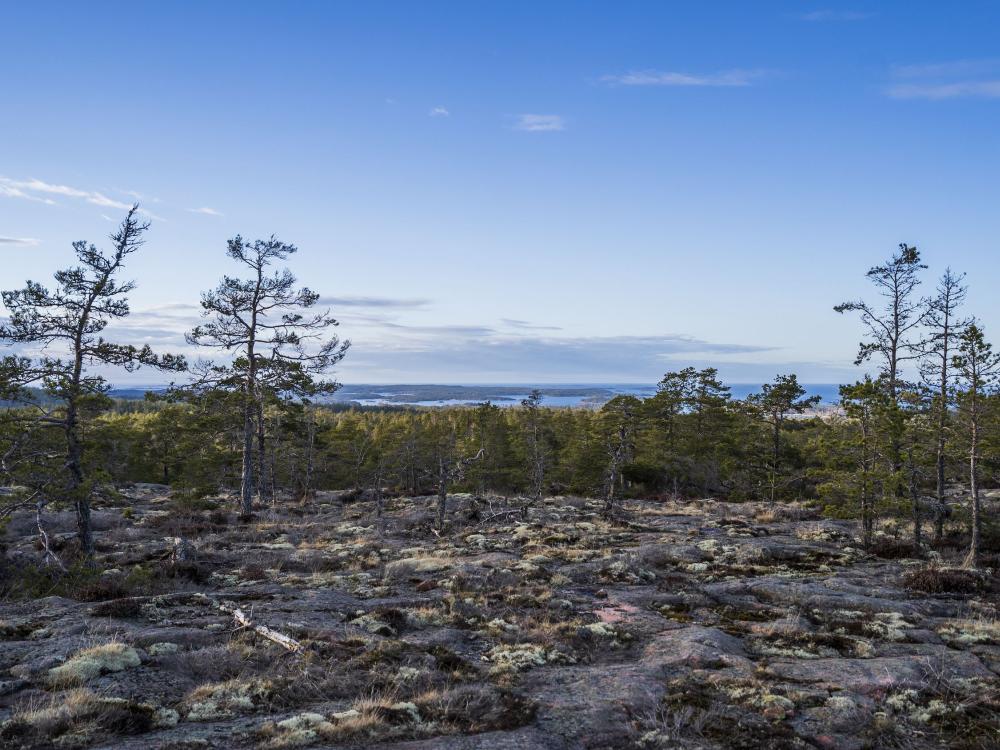 Långbergen 5,5 km− saaristoerämaa ja kivikausi