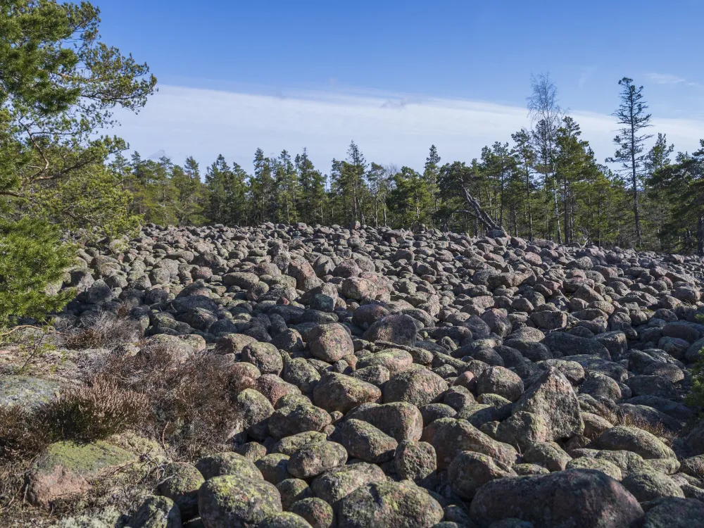 Långbergen 5,5 km − vildmark och stenålder