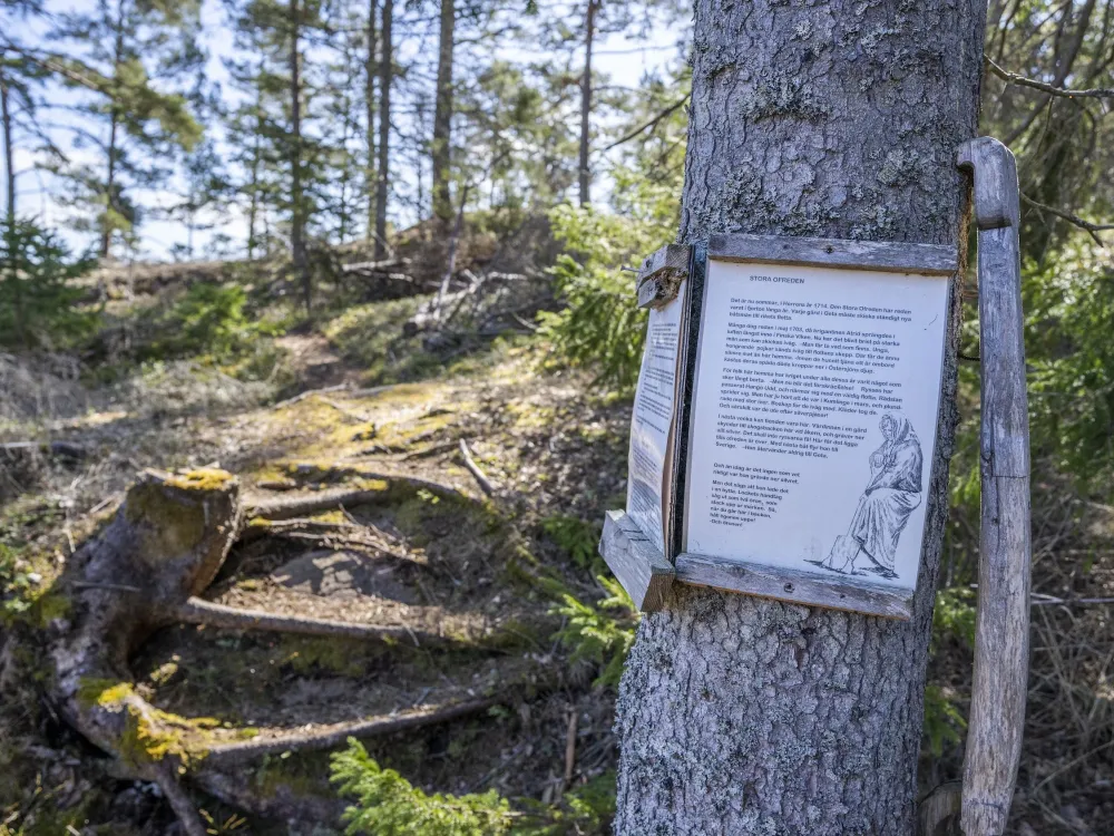 Medeltidsstigen 3 km – höggravfält och Stora Ofreden 