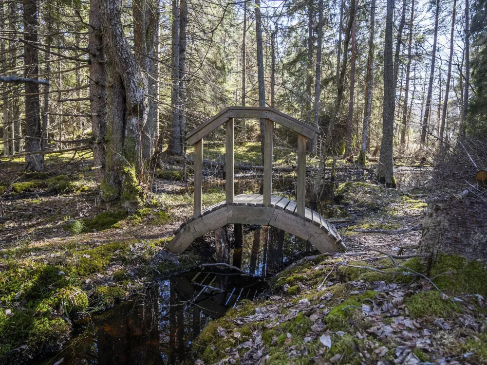 Medeltidsstigen 3 km – höggravfält och Stora Ofreden 