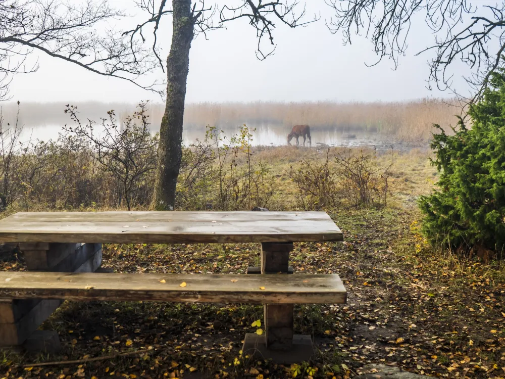 Prästgårdsnäset 2,1 km − artrikedom och andlighet i historiska omgivningar