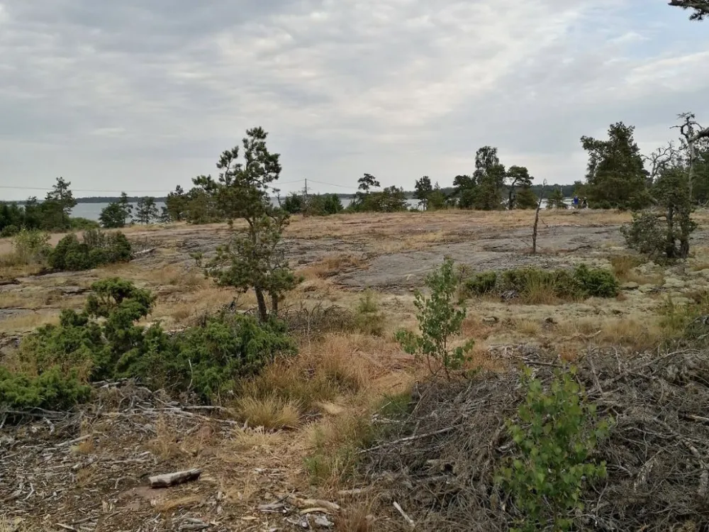 Skag DiscGolfPark