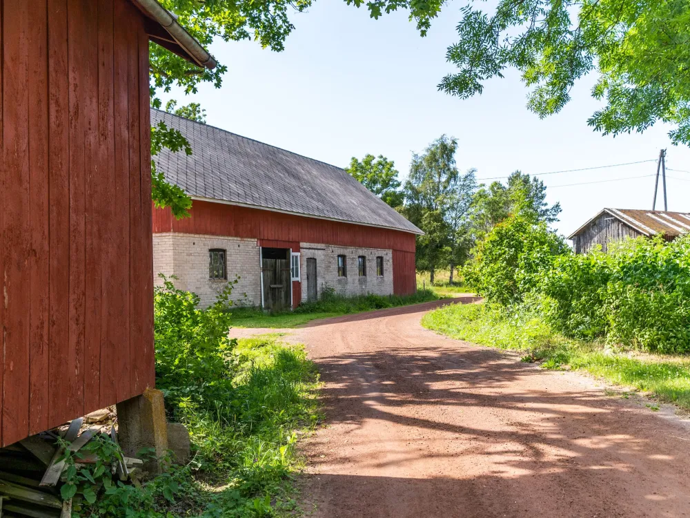 Stangnäs–Sandvik 8 km – jättegrytor och klippstrand