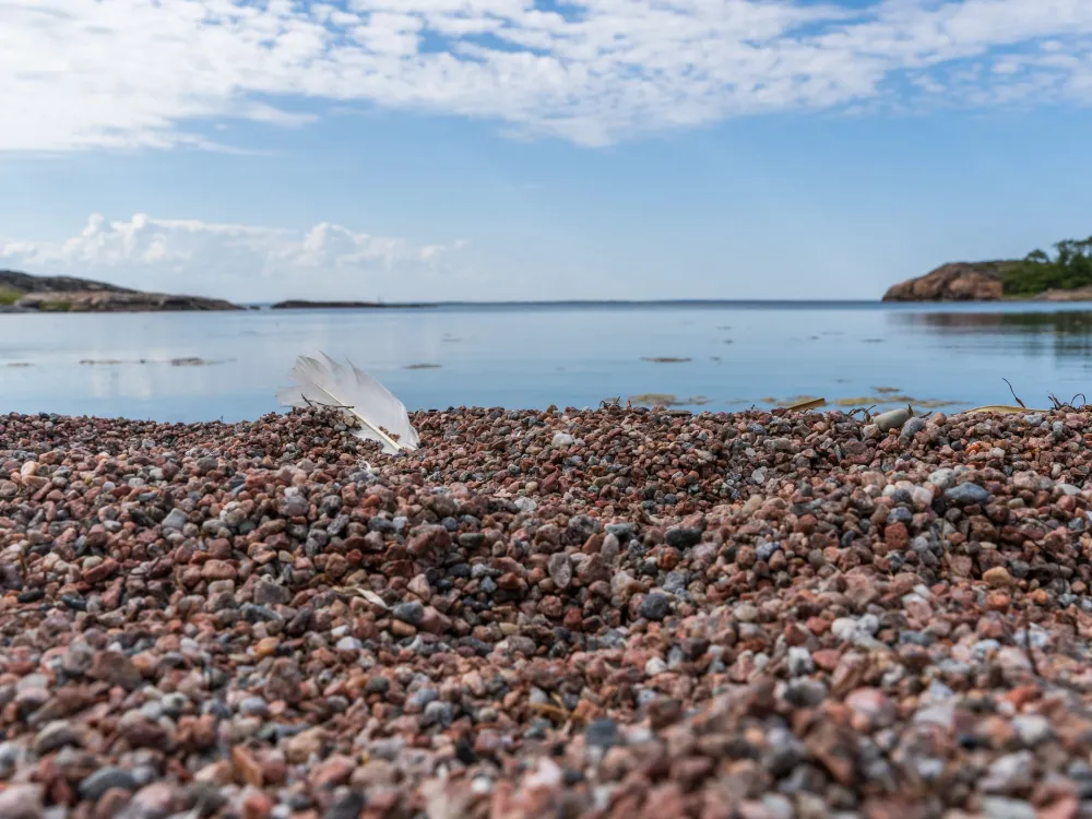 Stangnäs–Sandvik 8 km – jättegrytor och klippstrand