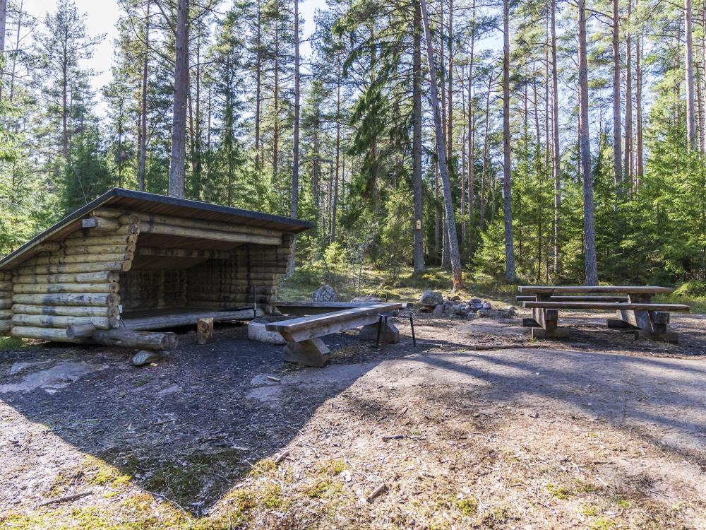 Stornäset 2,5−5 km − forest walk in peaceful surroundings