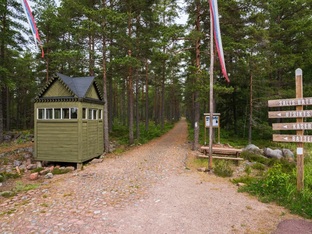 Sålis batteriberg