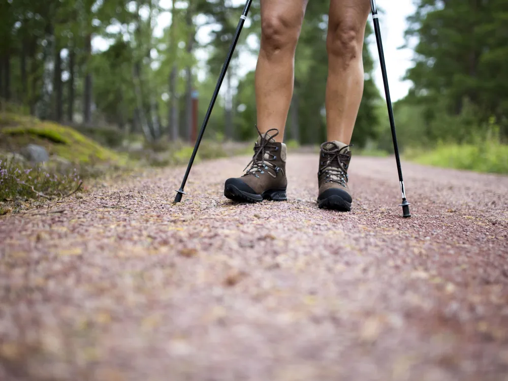 Öarna Jungfruskär och Björkör - 500 m